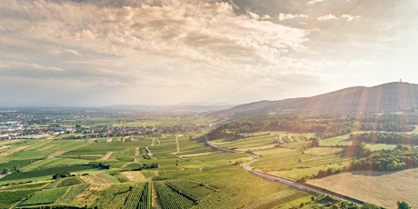 Wine Tasting: A Discovery Tour of Austrian Wines primary image