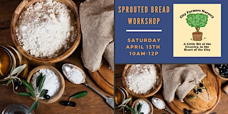 Sprouted Bread Workshop primary image