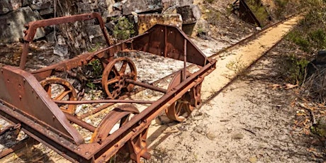 Immagine principale di History at Heatherlie - Ranger Guided Walk 