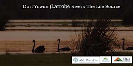 Imagen principal de World Rivers Day Screening: Durt’Yowan (Latrobe River): The Life Source