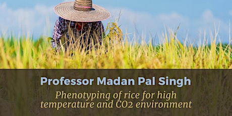 Imagen principal de LECTURE: Phenotyping of rice for high temperature and CO2 environment