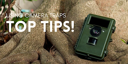 Hauptbild für Using Camera Traps - Top Tips!