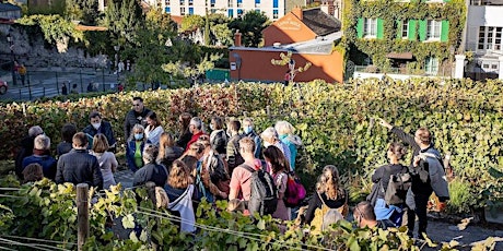 La visite des vignes du Clos Montmartre - Fête des Vendanges de Montmartre primary image