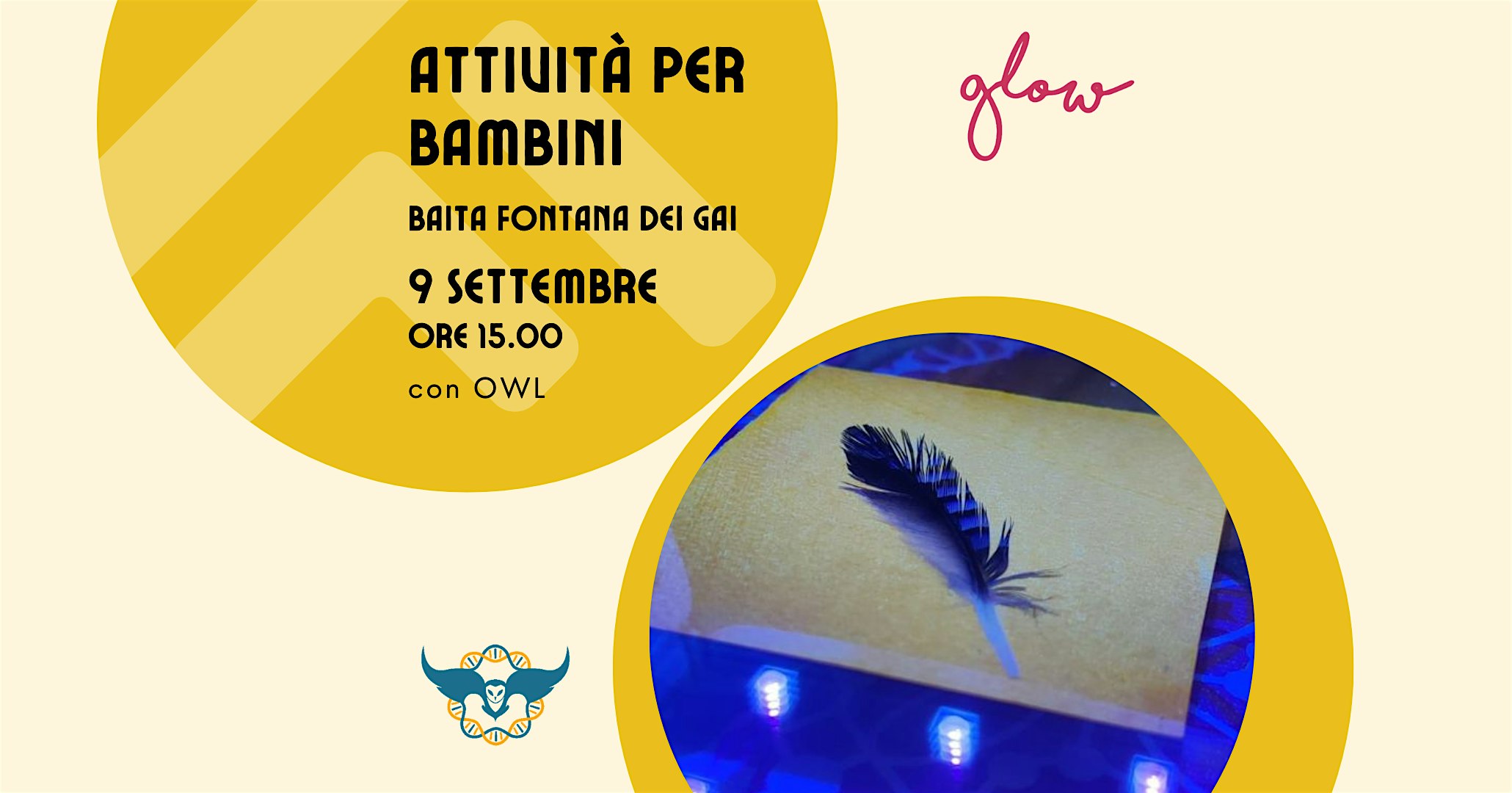 Attività per bambini con OWL