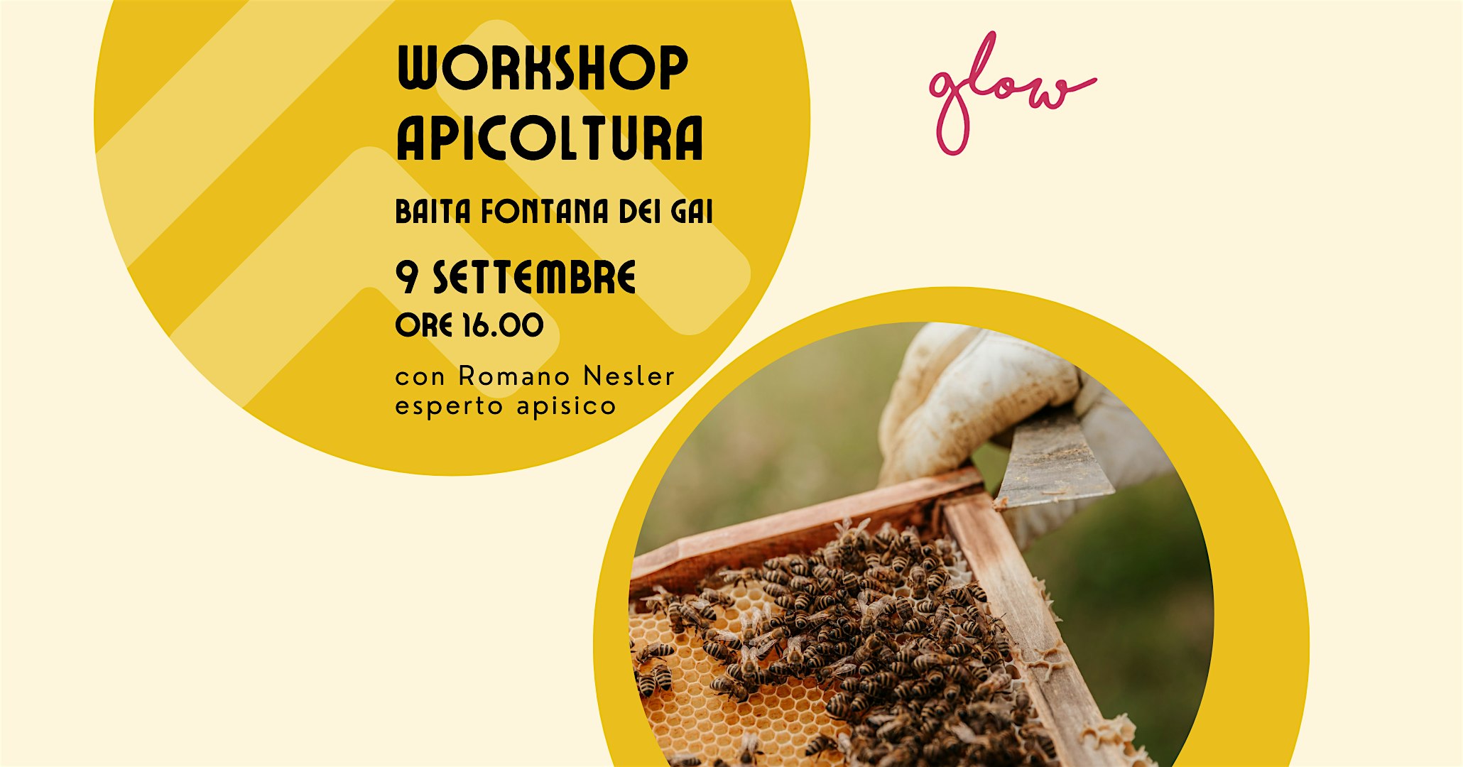 Workshop apicoltura: la comunicazione delle api
