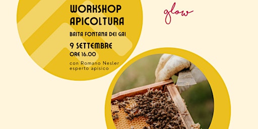 Workshop apicoltura: la comunicazione delle api primary image