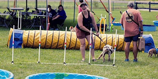 Imagem principal do evento Dorchester Pet Fest