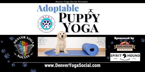 Imagem principal do evento Adoptable Puppy Yoga at the Dog House Denver Sponsored by Spirit Hound