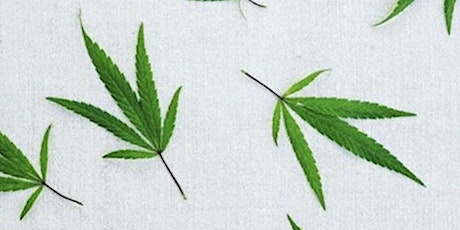 The Science behind why Cannabis? primary image