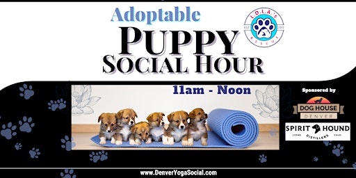 Imagem principal do evento Adoptable Puppy Social Hour at Dog House Denver Sponsored by Spirit Hound