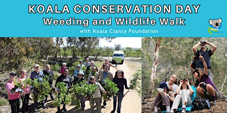 Hauptbild für Koala Conservation Day: Weeding and Wildlife Walk