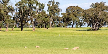 Imagem principal de Local Farmers journey to selling their livestock paddock to plate - webinar