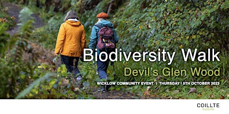 Primaire afbeelding van Devil's Glen Woods  Biodiversity Walk  - Community Event