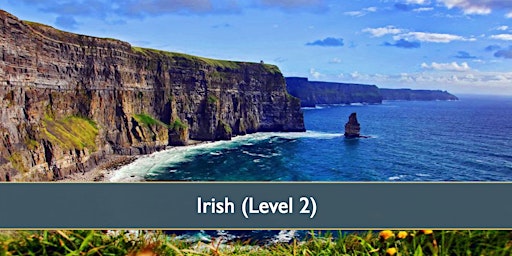 Irish Level 2 - April 2024 primary image