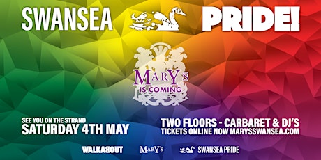 Mary's Swansea Pride Afterparty  18+  primary image