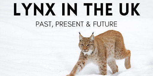 Hauptbild für Lynx in the UK: Past Present and Future