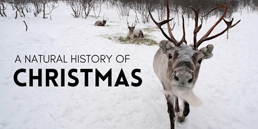 Primaire afbeelding van A Natural History of Christmas