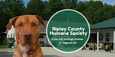 Ripley County LSN Give Back INitiative Project 2019: Humane Society of Ripley County primary image