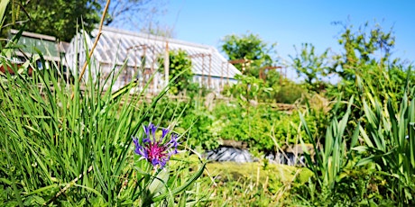 Social Gardening @ The Heritage Display Garden ('Olivers')