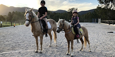 45min Holiday Horse Experience (5yrs+) primary image