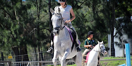2 hour Holiday Horse Experience (8yrs+) primary image