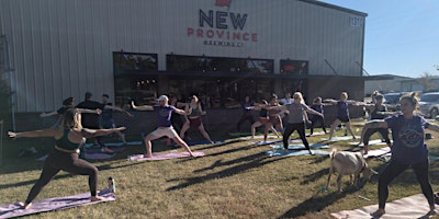 Image principale de Greedy Goat Yoga @ New Province Brewing Company!