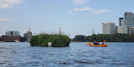 CHARLES RIVER CONSERVANCY FLOATING WETLAND primary image