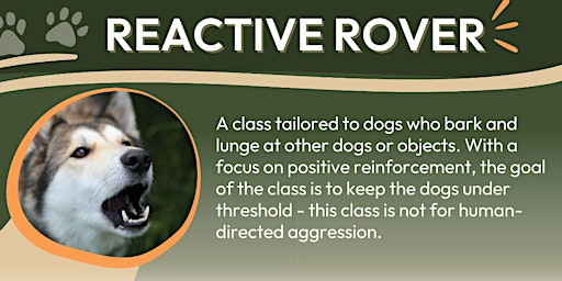 Reactive Rover - Tuesday, July 2nd at 4:30pm primary image