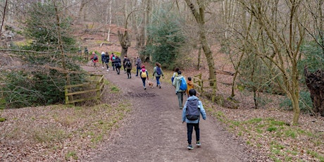 EPPING FOREST HIKE FAMILY FOR BEGINNERS - 16 JUN 2024