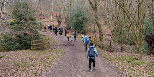 EPPING FOREST HIKE FAMILY FOR BEGINNERS - 16 JUN 2024  primärbild