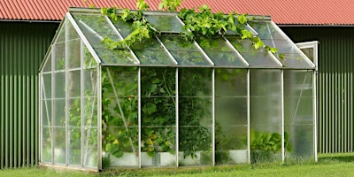 Getting the Most from Your Greenhouse