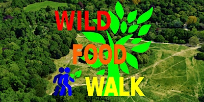 Hauptbild für June Hampstead Heath (London) Wild Food Foraging/ Foragers Walk.