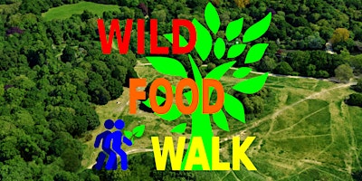 Hauptbild für April Hampstead Heath (London) Wild Food Foraging/ Foragers Walk.