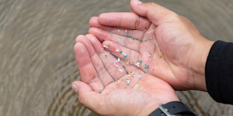 Microplastics: Tiny but Dangerous  primärbild
