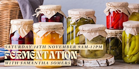 Fermentation with Samantha Somers primary image