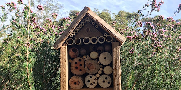 Kids Insect Hotel Workshop