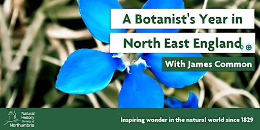 A Botanist's Year in North-East England primary image