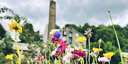 Image principale de Gardening for Wellbeing Community Group