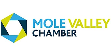 2023 Mole Valley Chamber Virtual Annual General Meeting primary image