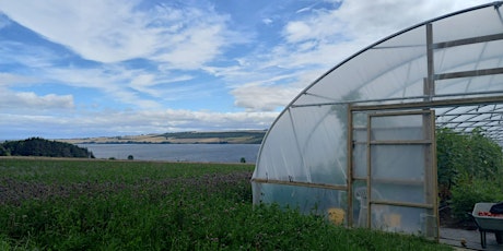 Seeds of Scotland - Farm visit in the Highlands primary image