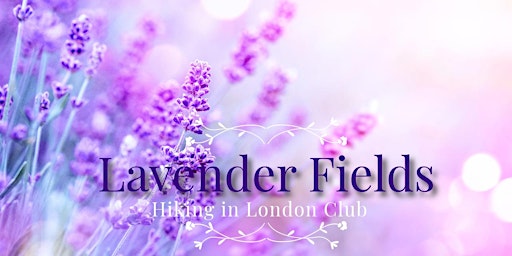 Lavender Fields Walk - Woodmansterne - Sunday  primärbild
