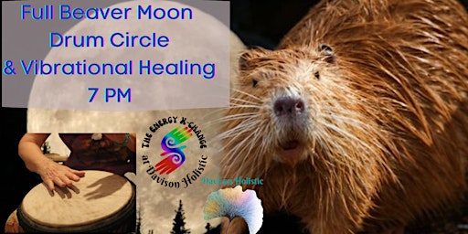 Beaver Full Moon Vibrational Healing Circle primary image