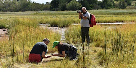 Halifax's City Nature Challenge: How to become a citizen scientist! primary image