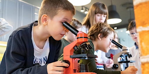 Atelier de biologie în limba română/ Vârstă participanți 6 -11 ani primary image