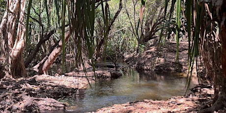 Palliative Approach to Care in Katherine - morning workshop  primärbild