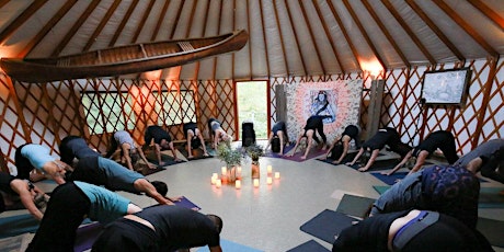 Silent Yoga & Meditation Retreat primary image