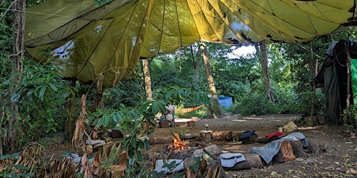 Hauptbild für Summer Solstice Women's Circle: Writing in the Woods