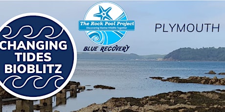 Changing Tides! - Climate Change BioBlitz - Plymouth primary image