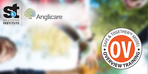 Safe & Together™ Model Overview Training by Anglicare Sydney primary image