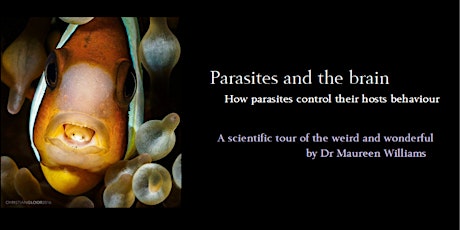 Parasites and the brain: how parasites control their host's behaviour primary image